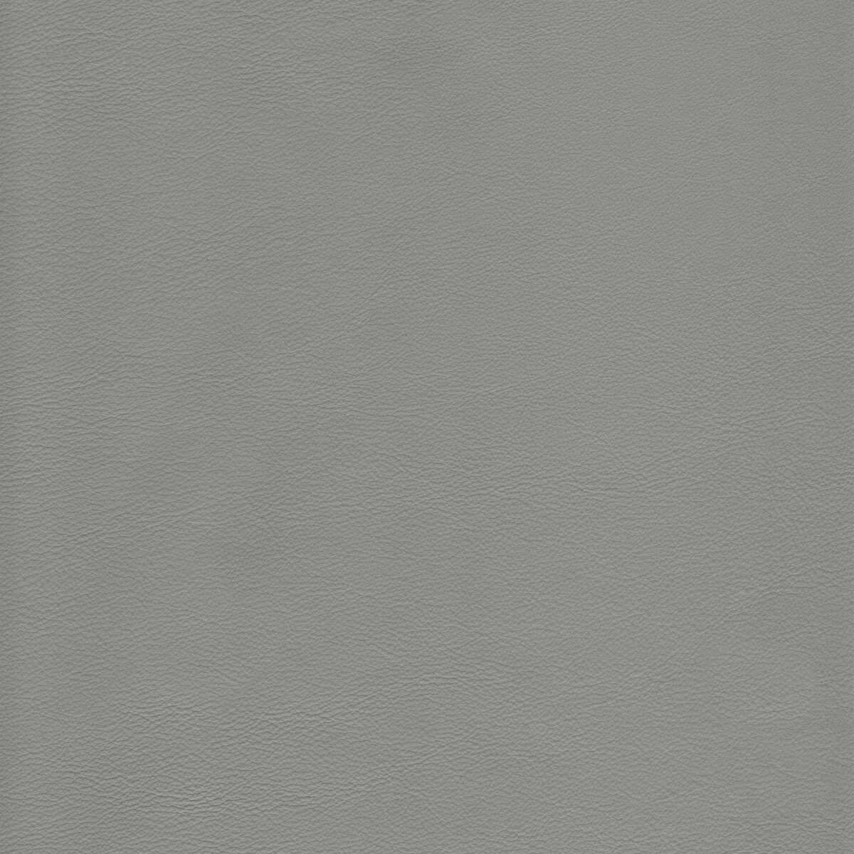 Kravet Design - L-Howdy-Putty - KRAVET DESIGN Fabric