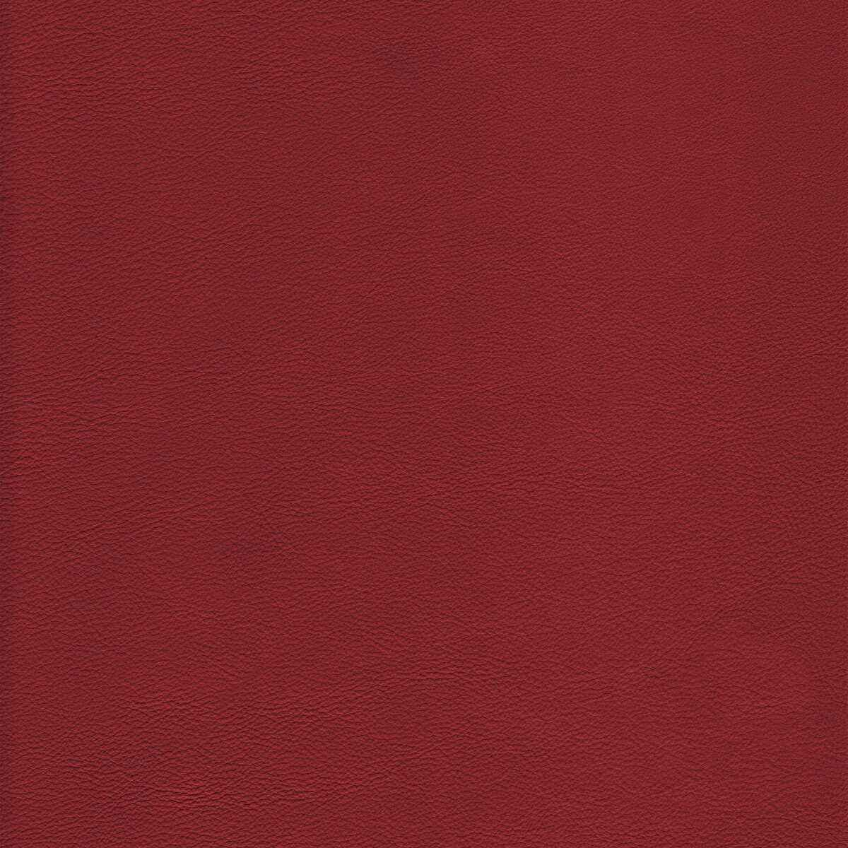 Lhowdysalsa0 Kravet Design L Howdy Salsa Kravet Design Fabric - KRAVET DESIGN Fabric