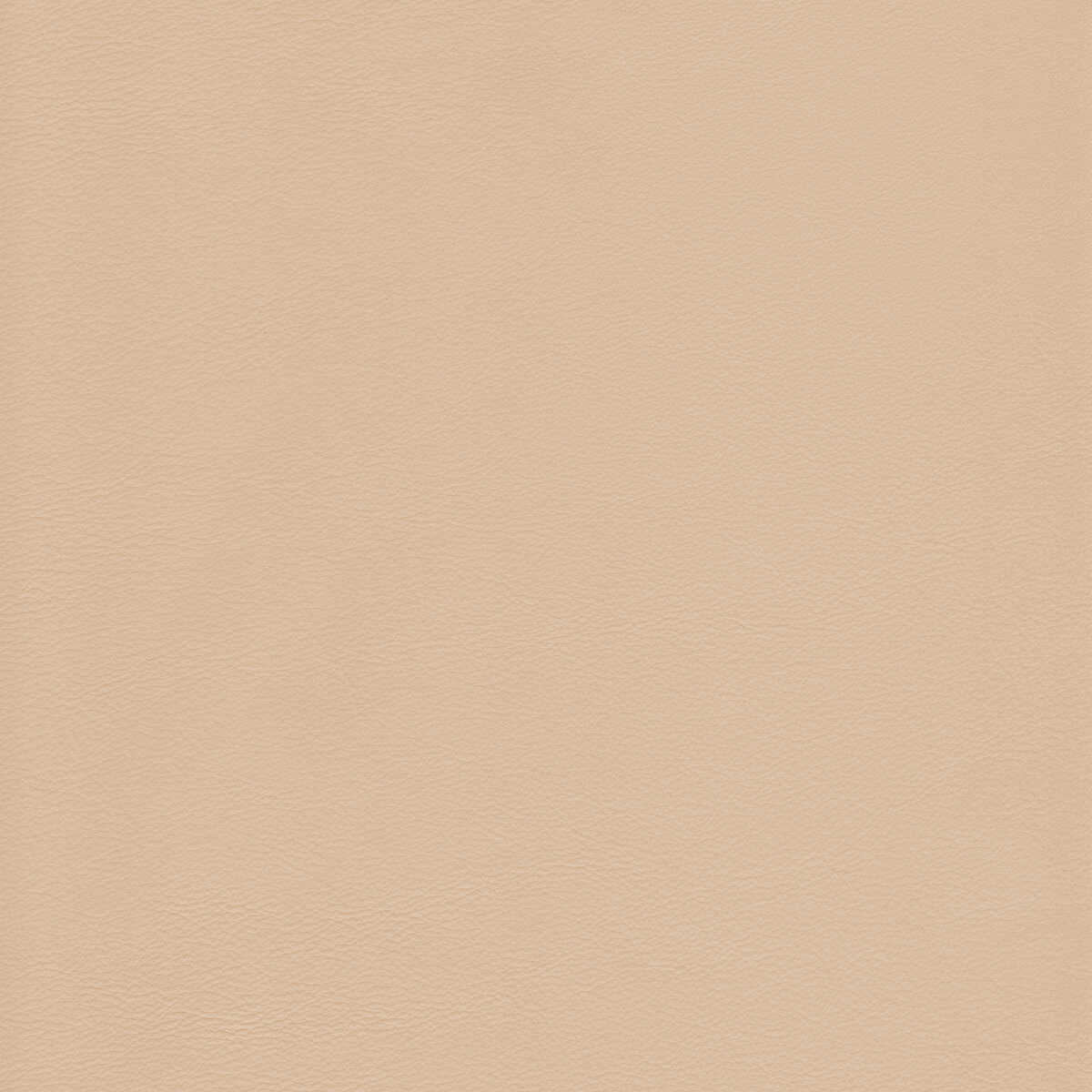 Kravet Design - L-Howdy-Sand - KRAVET DESIGN Fabric