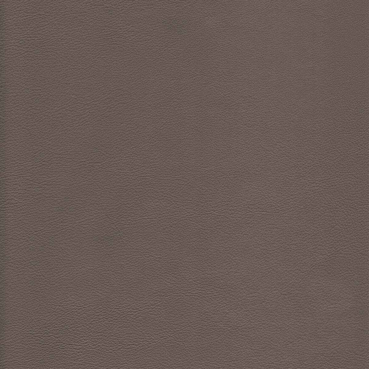 Lhowdytaupe0 Kravet Design L Howdy Taupe Kravet Design Fabric