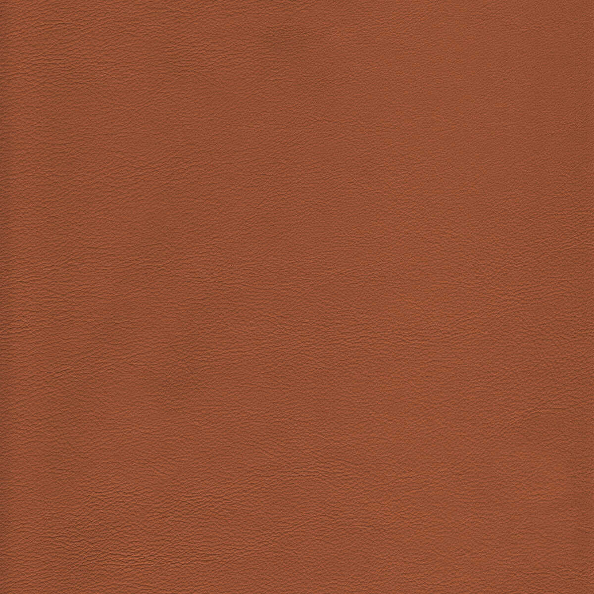 Kravet Design - L-Howdy-Toffee - KRAVET DESIGN Fabric