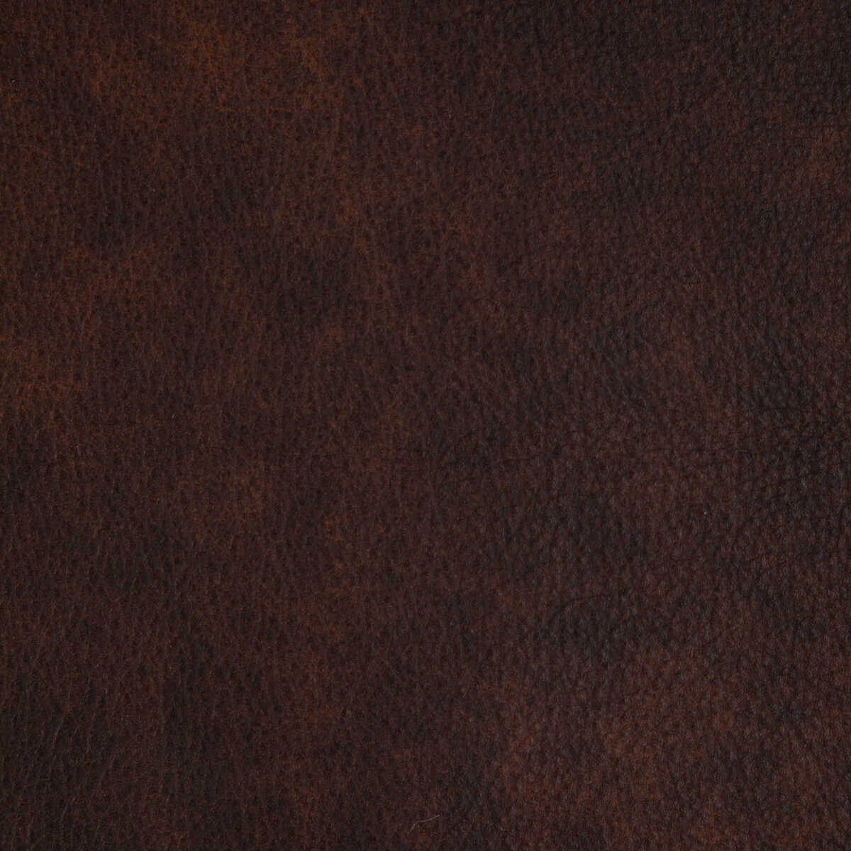 Kravet Design - L-Laramie-Cedar - KRAVET DESIGN Fabric