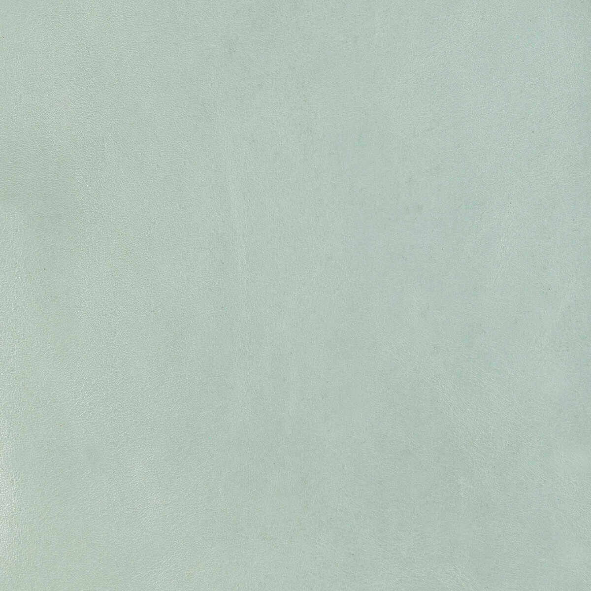 Kravet Design - L-Lobo-Ice - KRAVET DESIGN Fabric