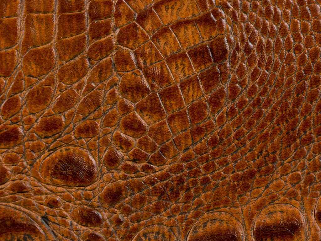 Lmadridspice0 Kravet Couture L Madrid Spice Kravet Couture Fabric - KRAVET COUTURE Fabric