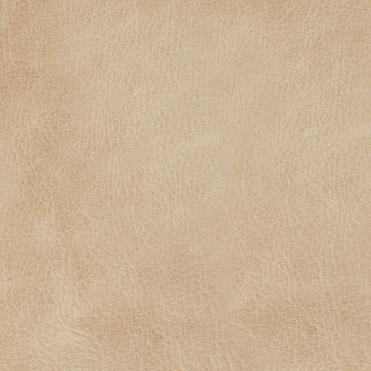 Kravet Design - L-Mane-Drift - KRAVET DESIGN Fabric