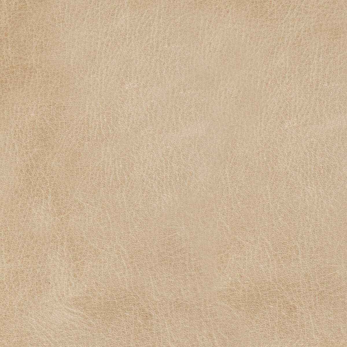 Lmanedrift0 Kravet Design L Mane Drift Kravet Design Fabric - KRAVET DESIGN Fabric
