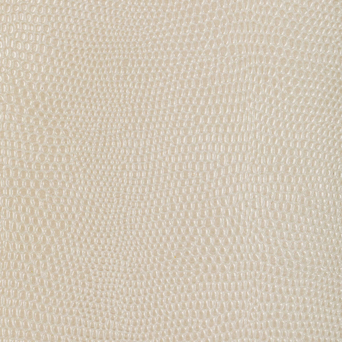 L-Mojave - Cashmere - KRAVET DESIGN Fabric