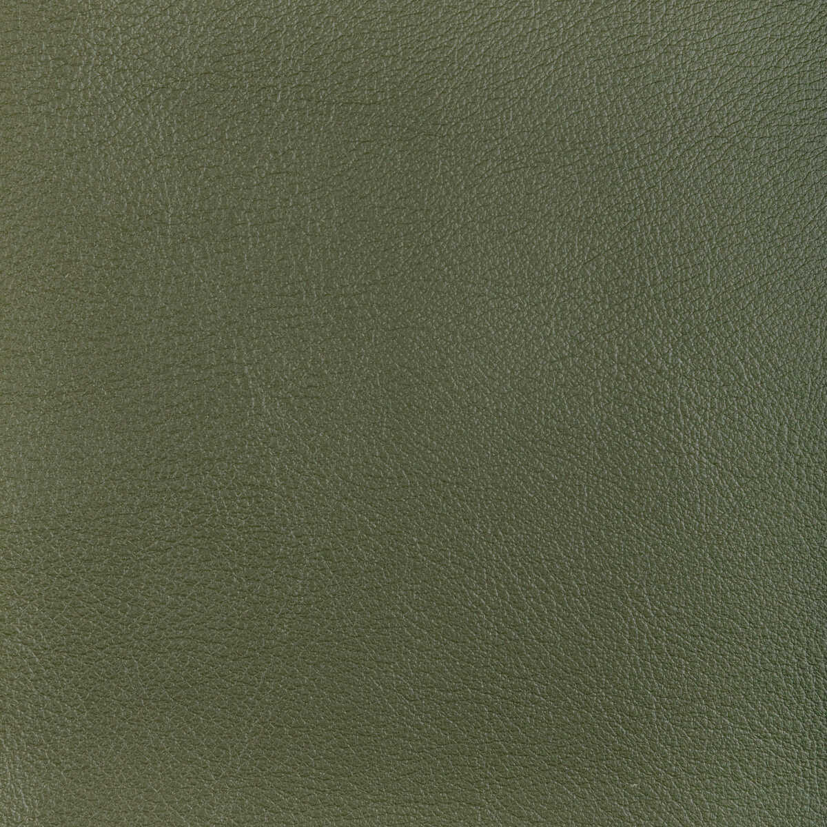 Kravet Design - L-Ocotillo-Hunter - KRAVET DESIGN Fabric