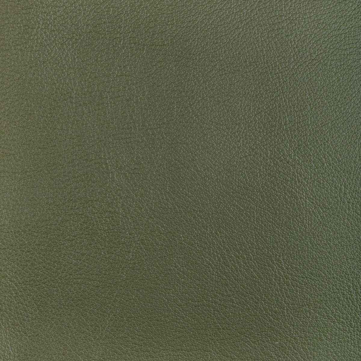 Locotillohunter0 Kravet Design L Ocotillo Hunter Kravet Design Fabric - KRAVET DESIGN Fabric