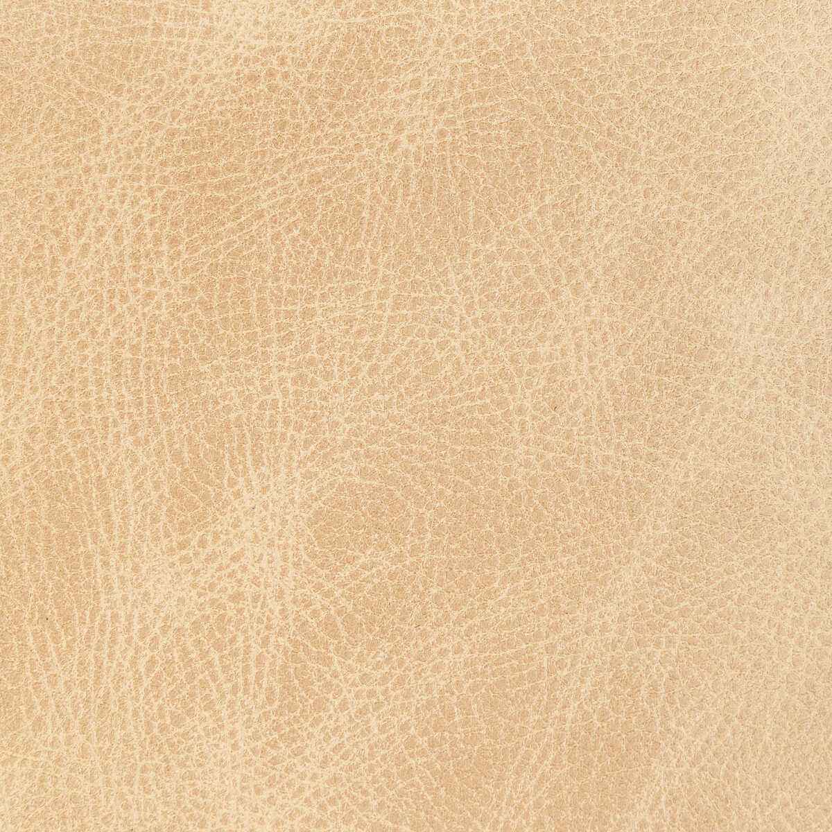 Lopelatte0 Kravet Design L Ope Latte Kravet Design Fabric - KRAVET DESIGN Fabric