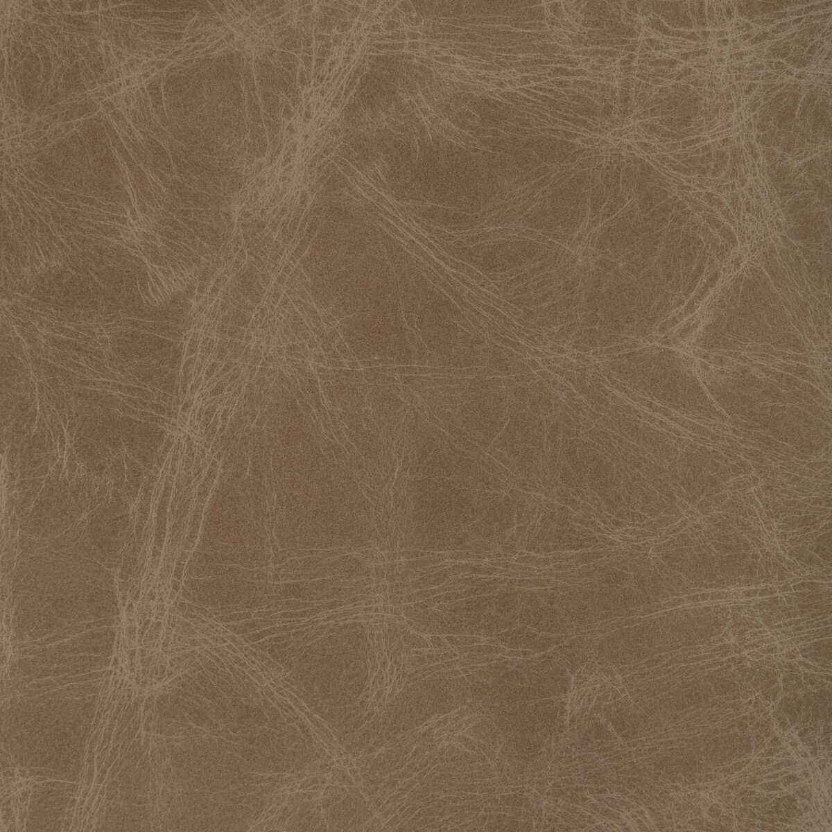Lovinefawn0 L Ovine Fawn Kravet Design Fabric