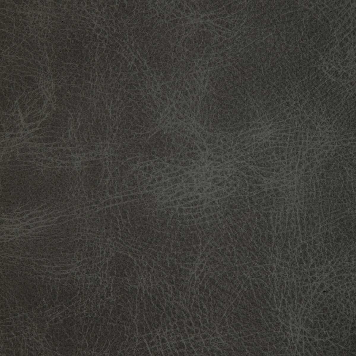 L-Ovine - Storm - KRAVET DESIGN Fabric