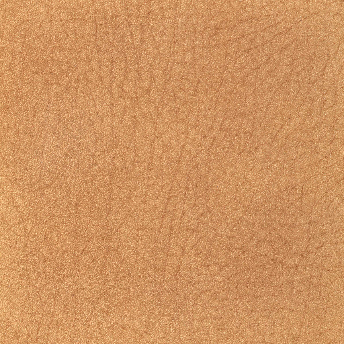 Kravet Design - L-Pampas-Deer - KRAVET DESIGN Fabric