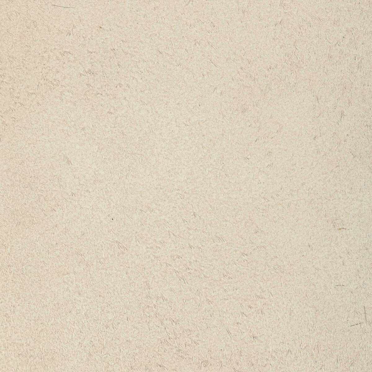 Kravet Design - L-Percha-Biscuit - KRAVET DESIGN Fabric