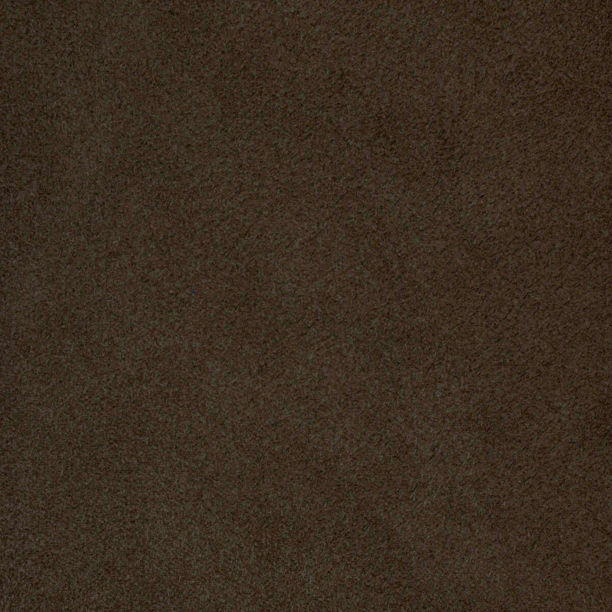 Kravet Design - L-Percha-Oak - KRAVET DESIGN Fabric