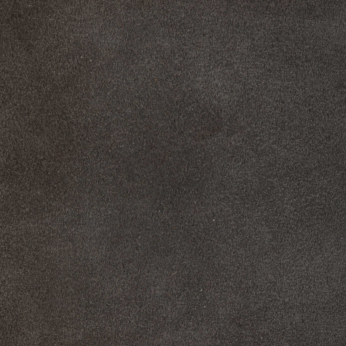 Kravet Design - L-Percha-Shadow - KRAVET DESIGN Fabric