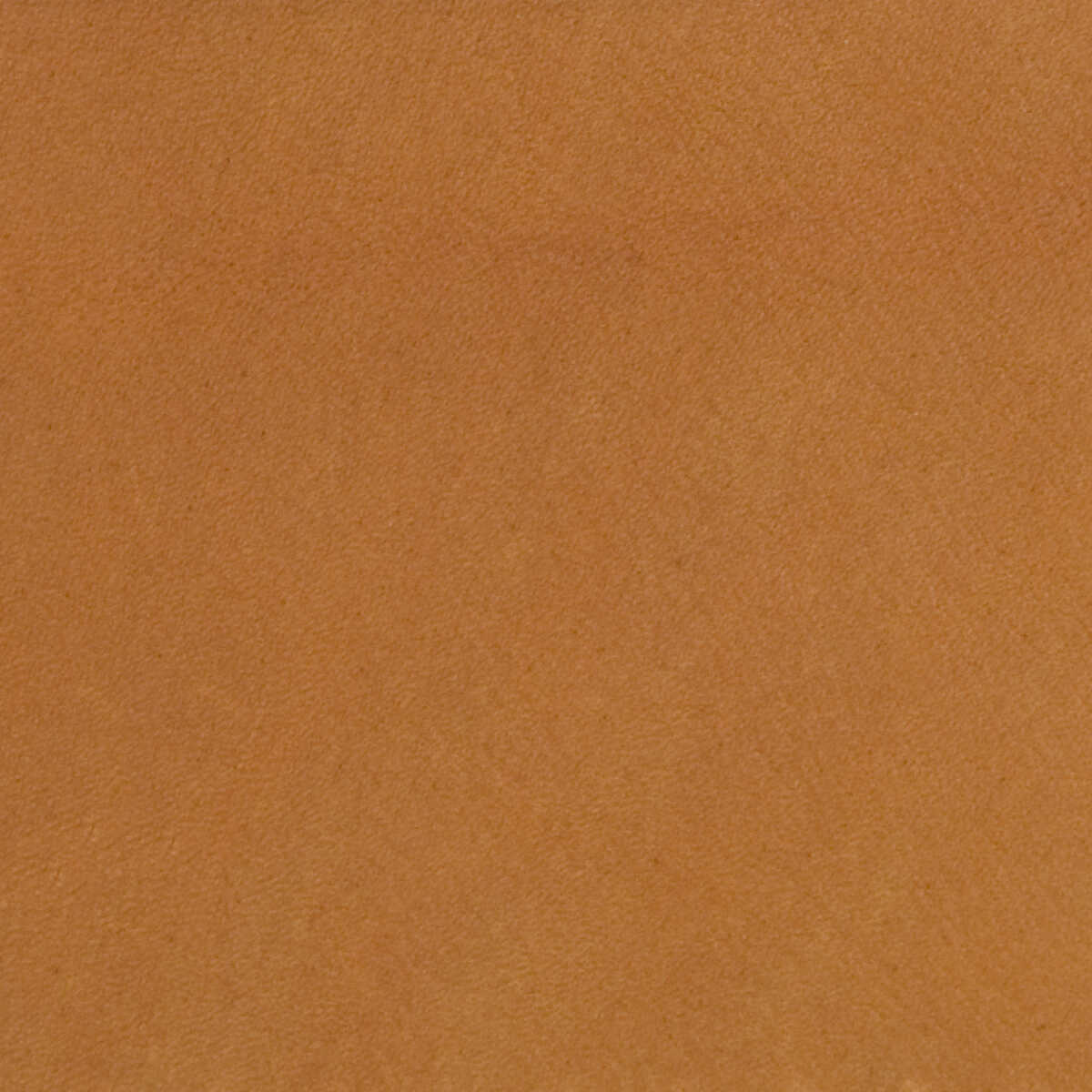 Kravet Design - L-Polo-Canyon - KRAVET DESIGN Fabric