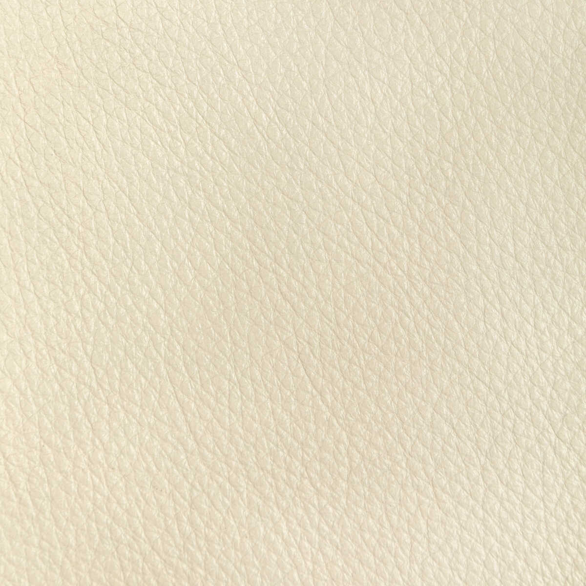 Kravet Design - L-Reata-Parchment - KRAVET DESIGN Fabric