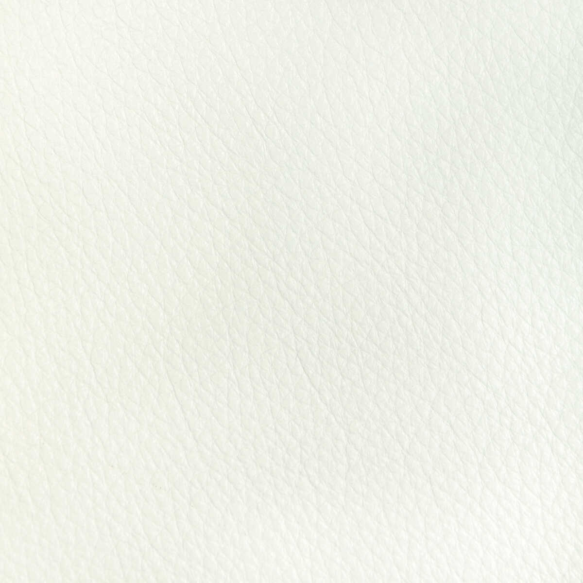 Kravet Design - L-Reata-Snow - KRAVET DESIGN Fabric