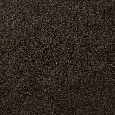 Lrodeocigar0 L Rodeo Cigar Kravet Design Fabric