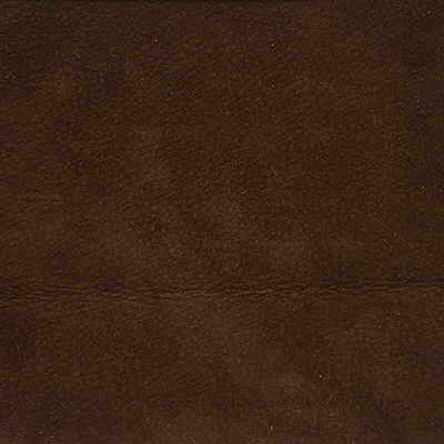 Lsaguaromocha0 Kravet Design L Saguaro Mocha Kravet Design Fabric - KRAVET DESIGN Fabric