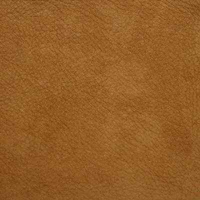 Lsaguarosand0 Kravet Design L Saguaro Sand Kravet Design Fabric - KRAVET DESIGN Fabric