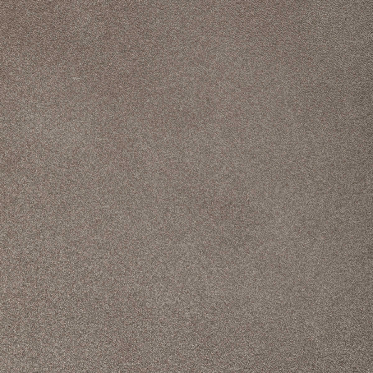 Kravet Design - L-Sahara-Mushroom - KRAVET DESIGN Fabric