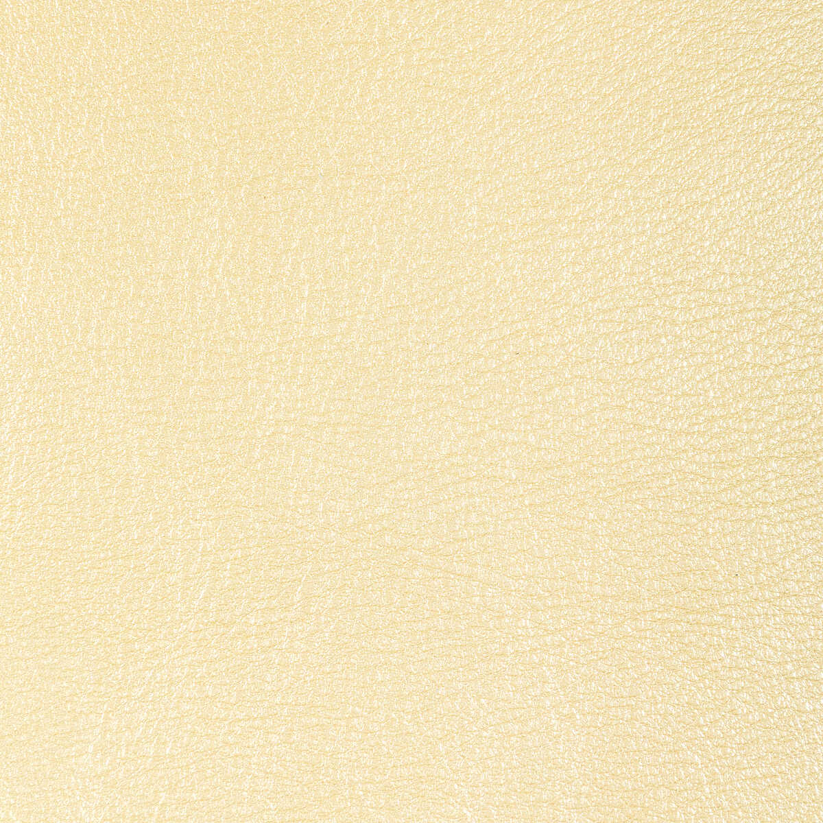 Kravet Design - L-Sierra-Wheat - KRAVET DESIGN Fabric