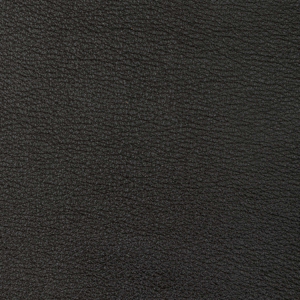 Kravet Design - L-Sonoran-Charcoal - KRAVET DESIGN Fabric