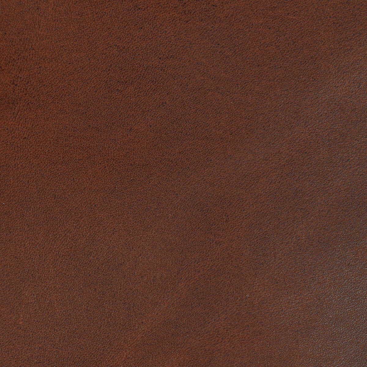 Kravet Design - L-Storrie-Cocoa - KRAVET DESIGN Fabric