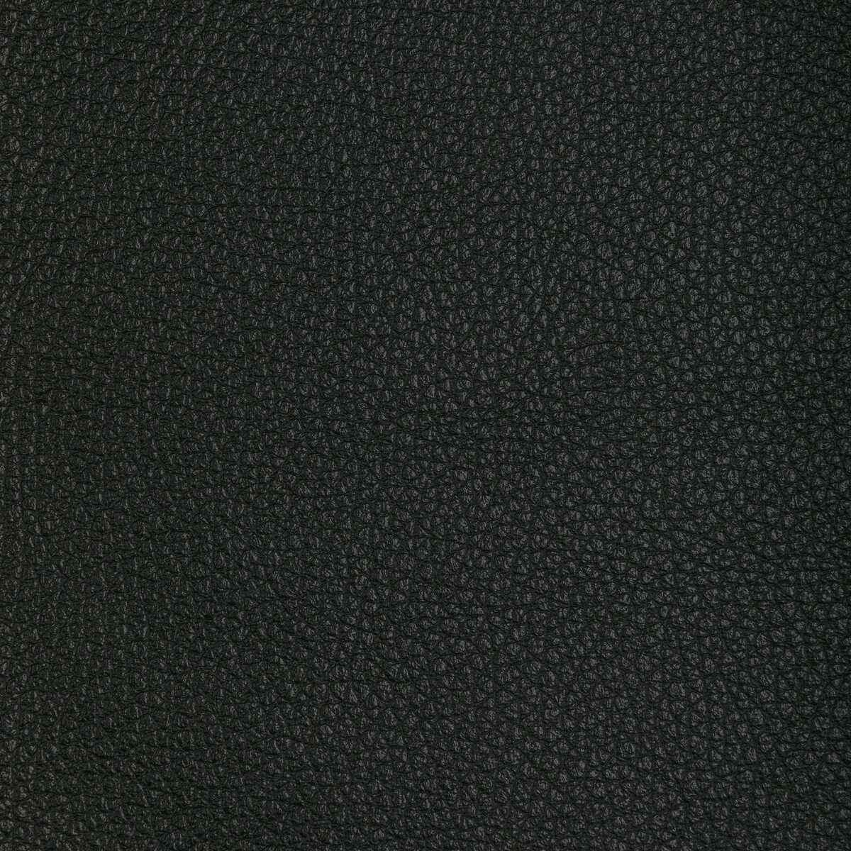 Ltucumblack0 L Tucum Black Kravet Design Fabric