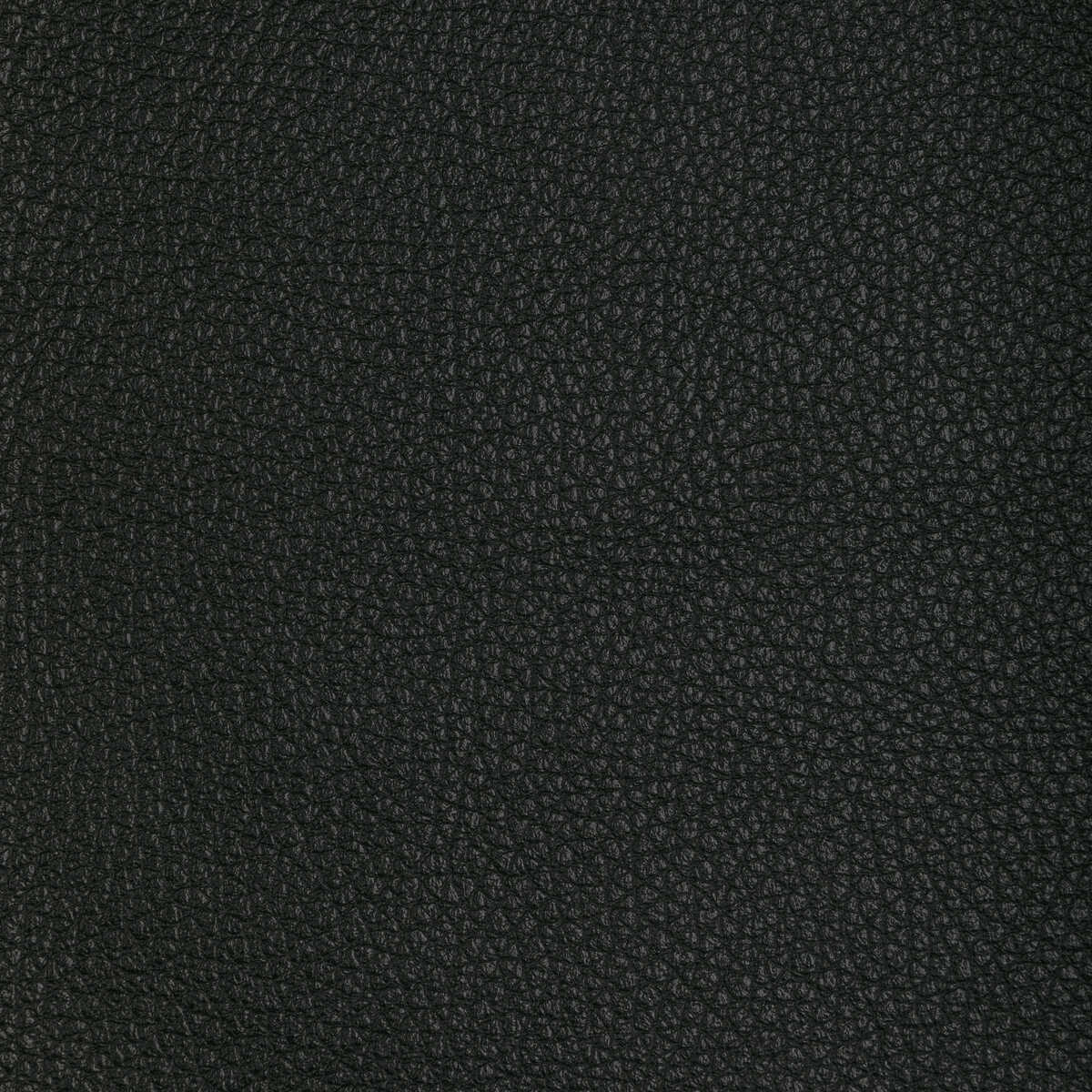 L-Tucum - Black - KRAVET DESIGN Fabric