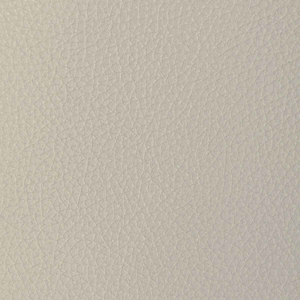 Ltucumdove0 L Tucum Dove Kravet Design Fabric - KRAVET DESIGN Fabric