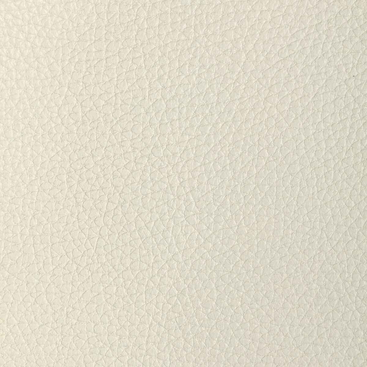 Ltucumoyster0 L Tucum Oyster Kravet Design Fabric - KRAVET DESIGN Fabric