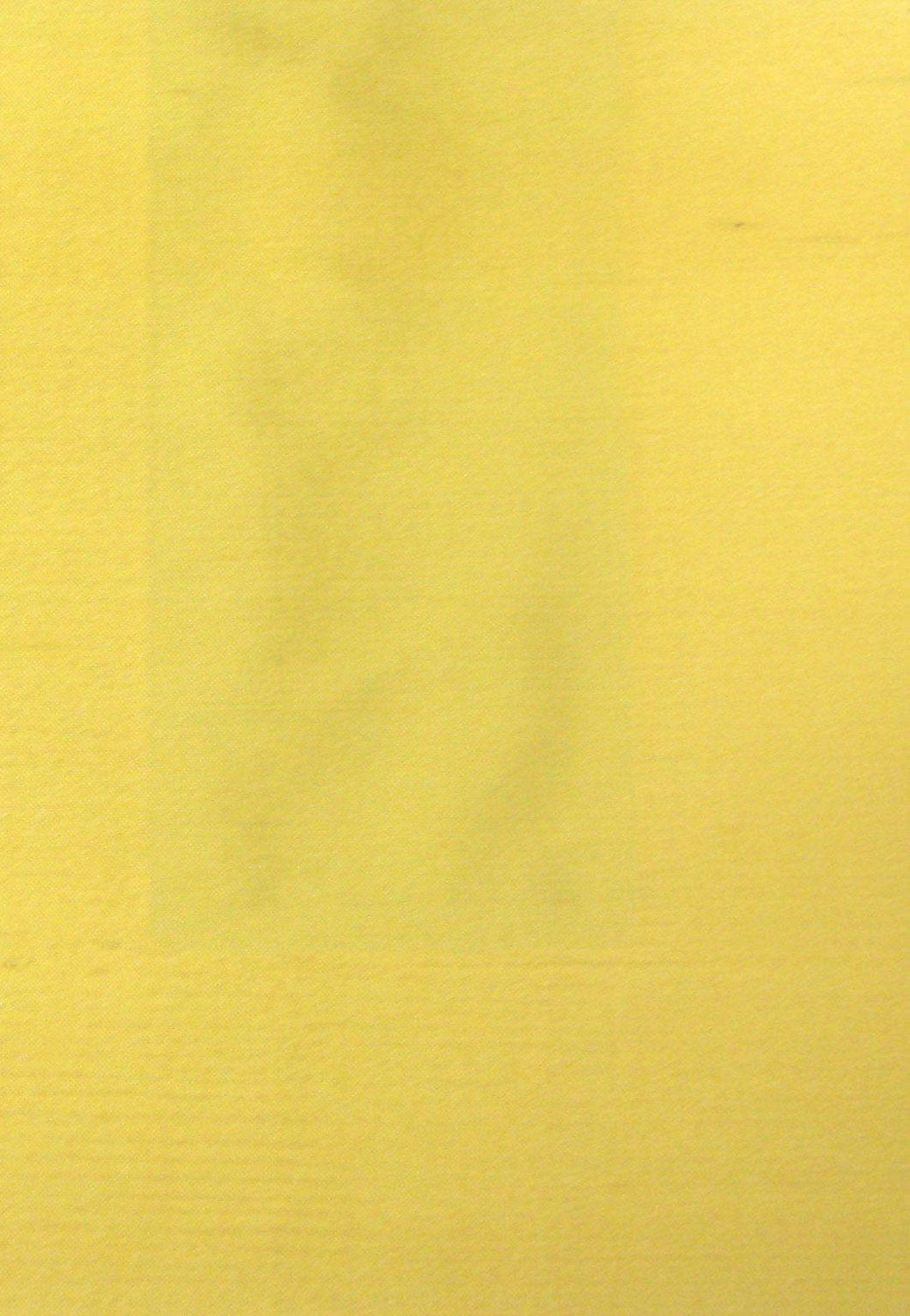 Dupioni Solids - Mandi - Scalamandre Fabric