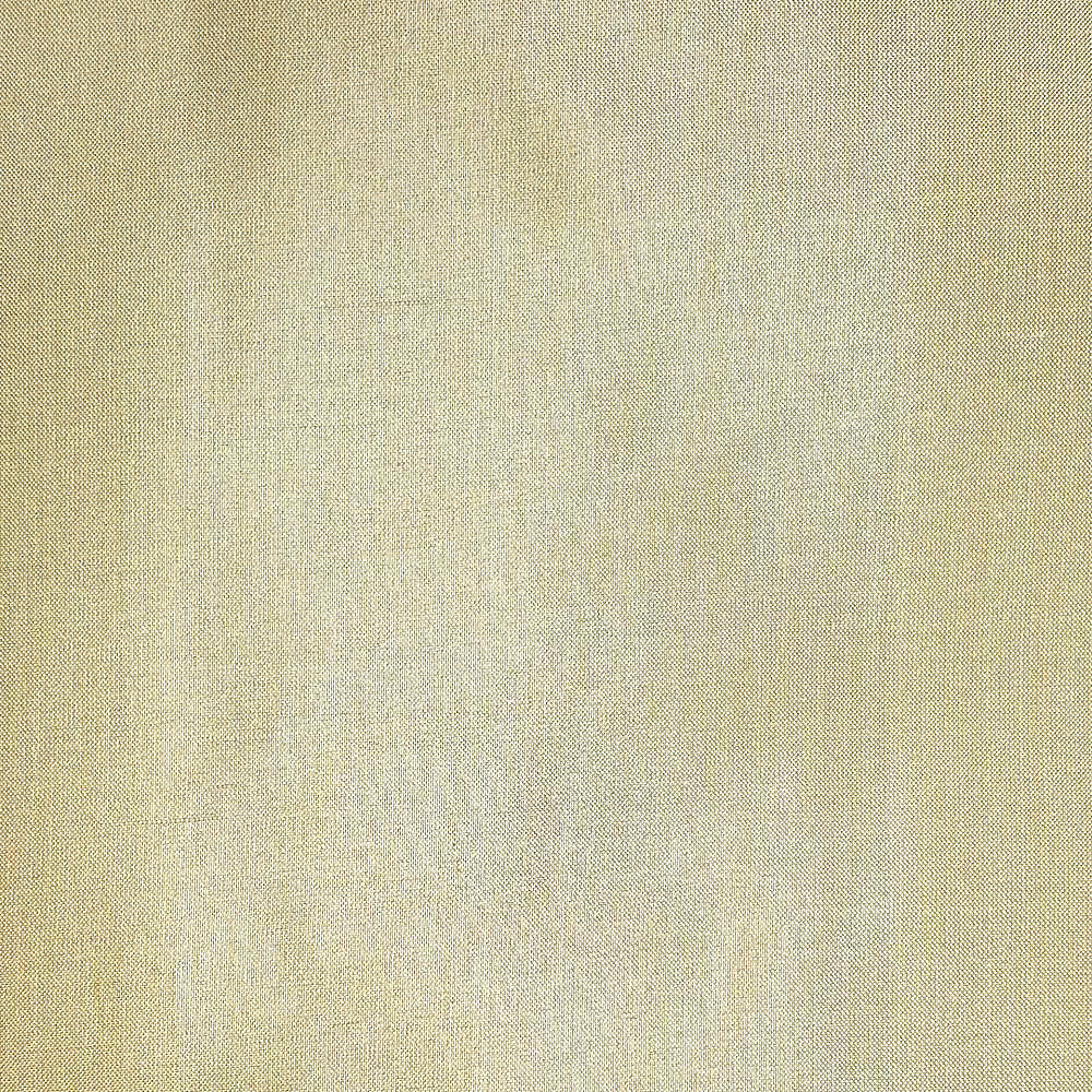 Dupioni Solids - Coimbatore - Scalamandre Fabric