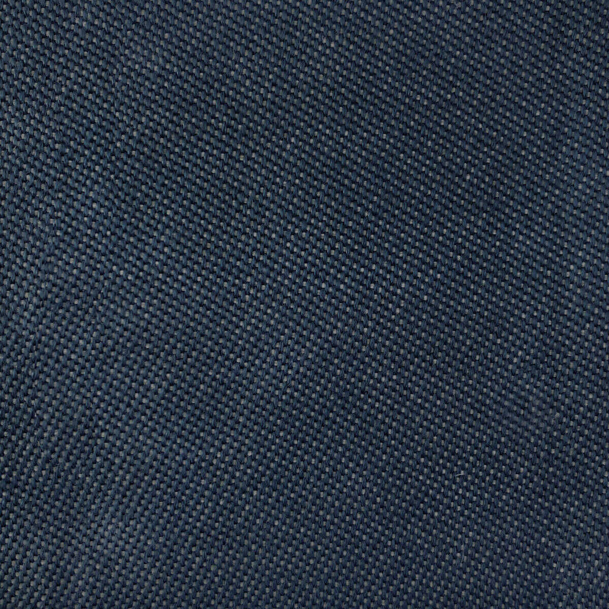 Max - Navy - GASTON Y DANIELA Fabric