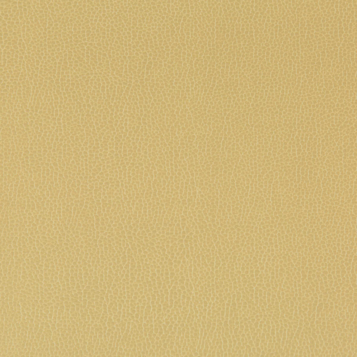 Lenox - Sesame