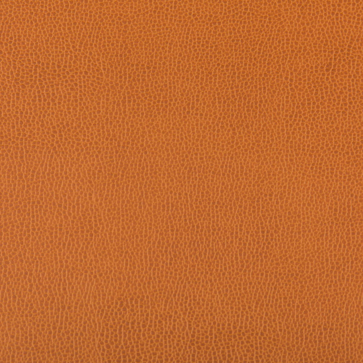 Lenox - Marmalade - KRAVET CONTRACT Fabric