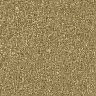 Litestar - Gold