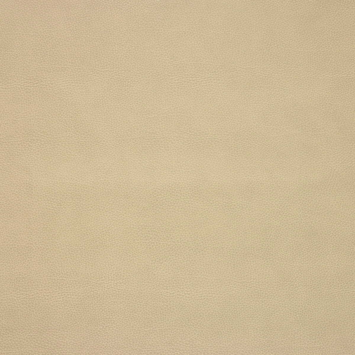 Kravet Design - Loris-106 - KRAVET DESIGN Fabric