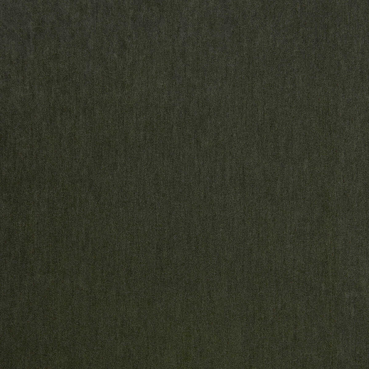Livorno - 43 - KRAVET DESIGN Fabric