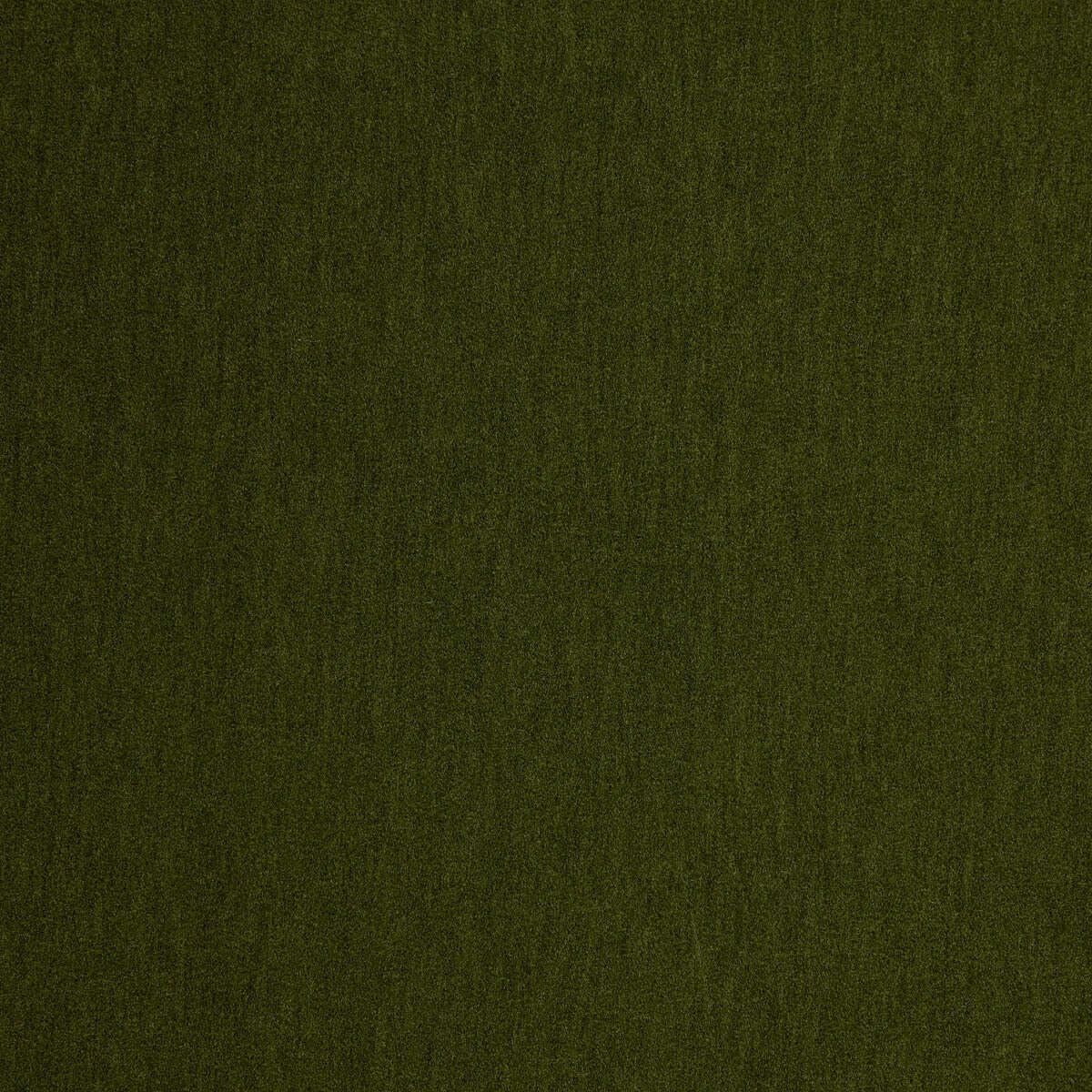 Livorno - 73 - KRAVET DESIGN Fabric