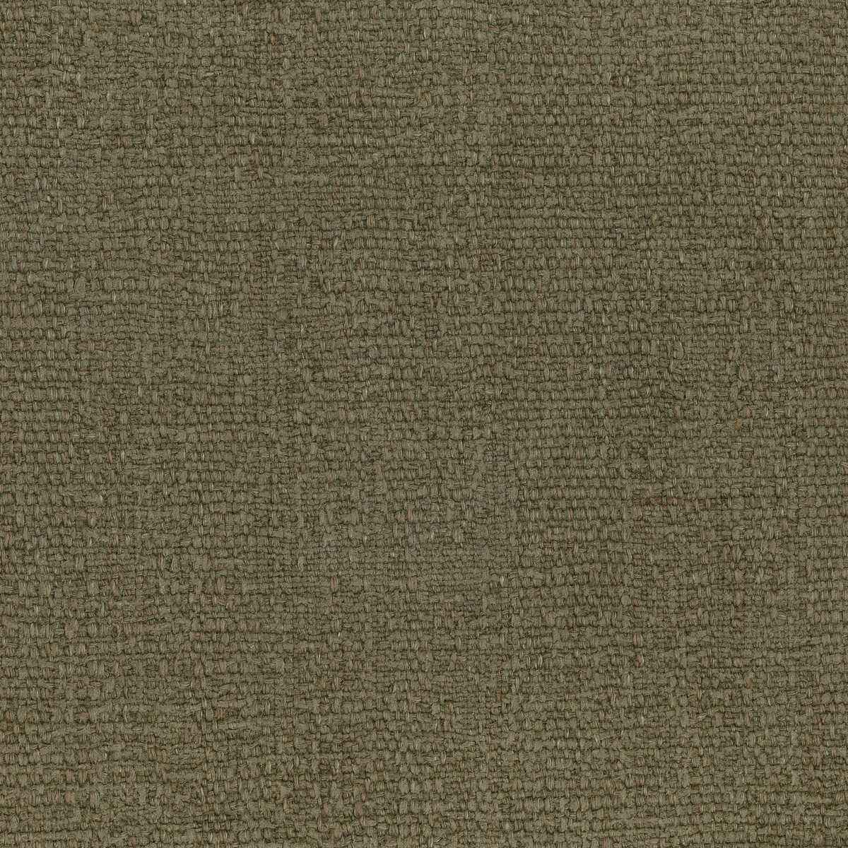 Lz30439010 Tabriz 01 Kravet Couture Fabric