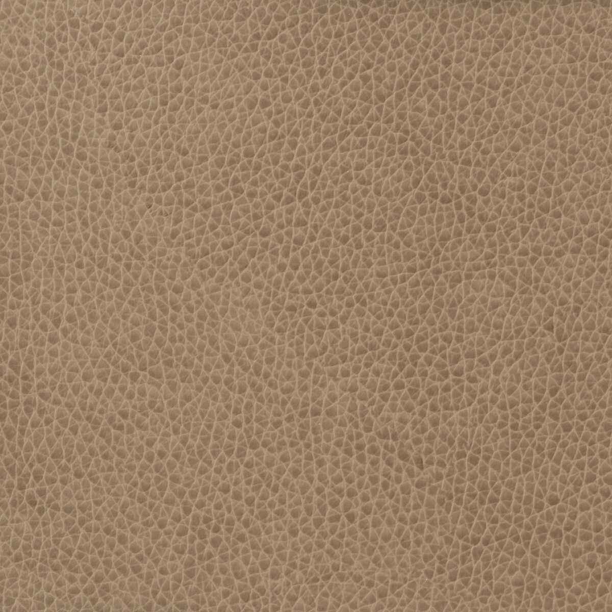 Matter16110 Kravet Basics Matter 1611 Kravet Basics Fabric