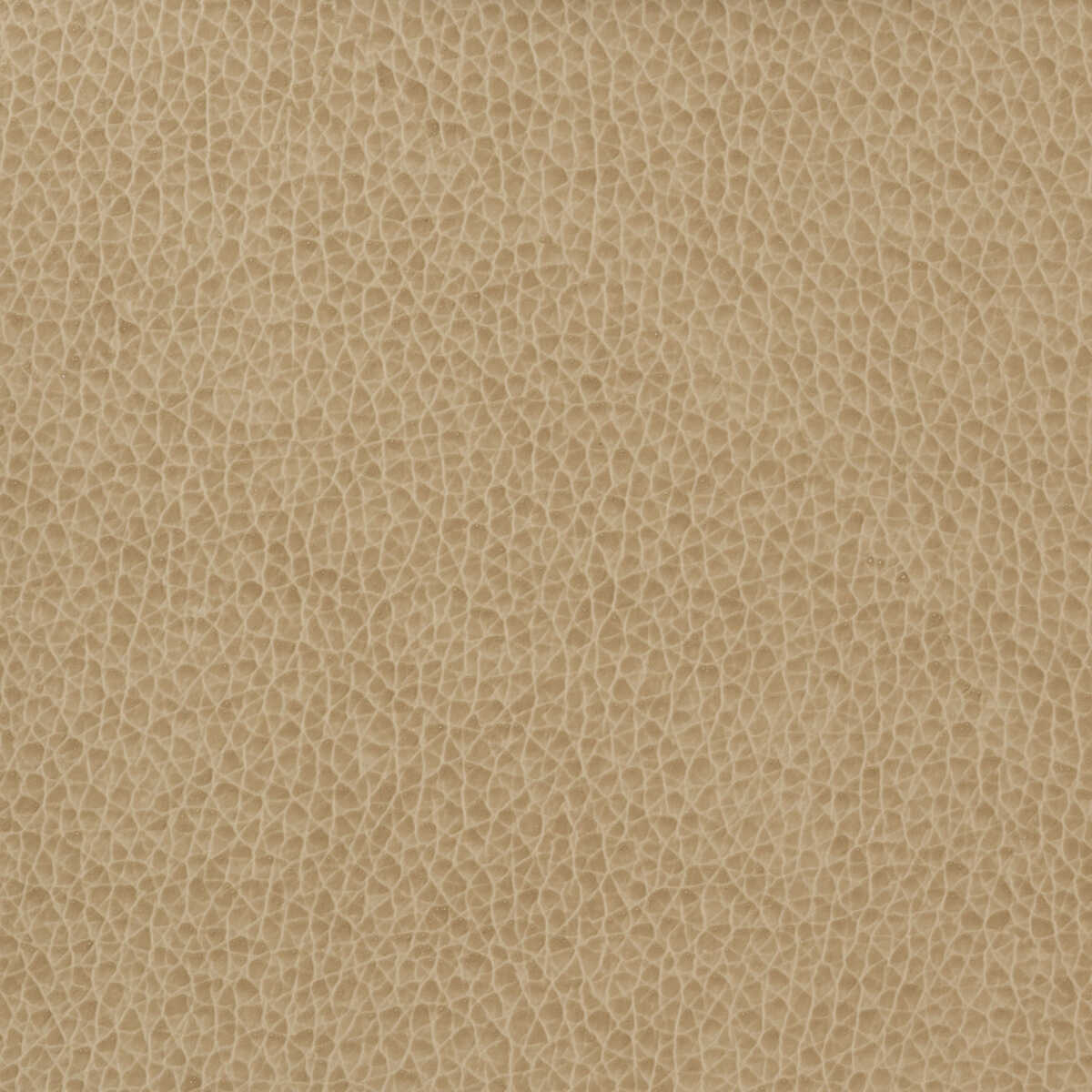 Kravet Basics - Matter-1616 - KRAVET BASICS Fabric