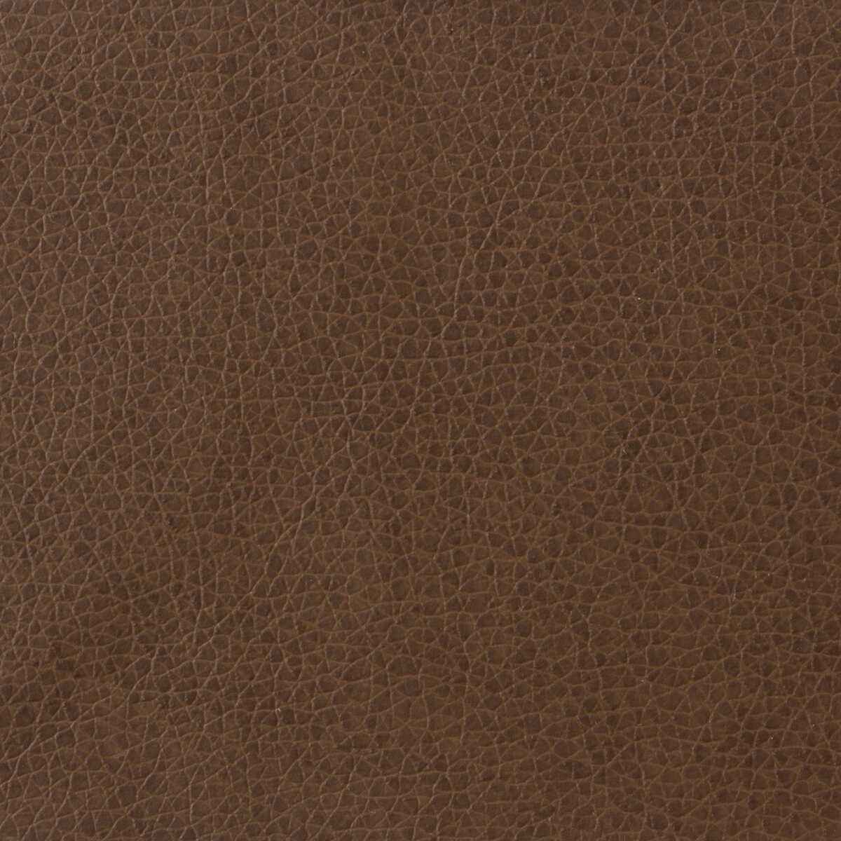 Matter60 Kravet Basics Matter 6 Kravet Basics Fabric - KRAVET BASICS Fabric