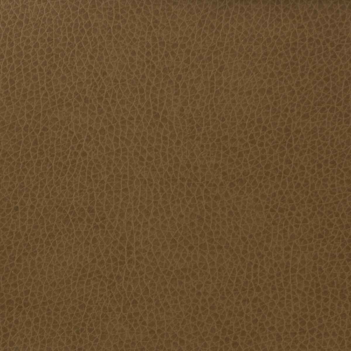 Matter6060 Kravet Basics Matter 606 Kravet Basics Fabric