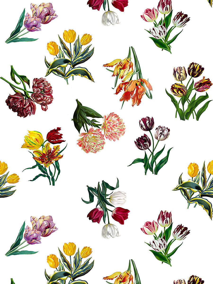 Etudes De Fleurs - Brights - Scalamandre Fabric