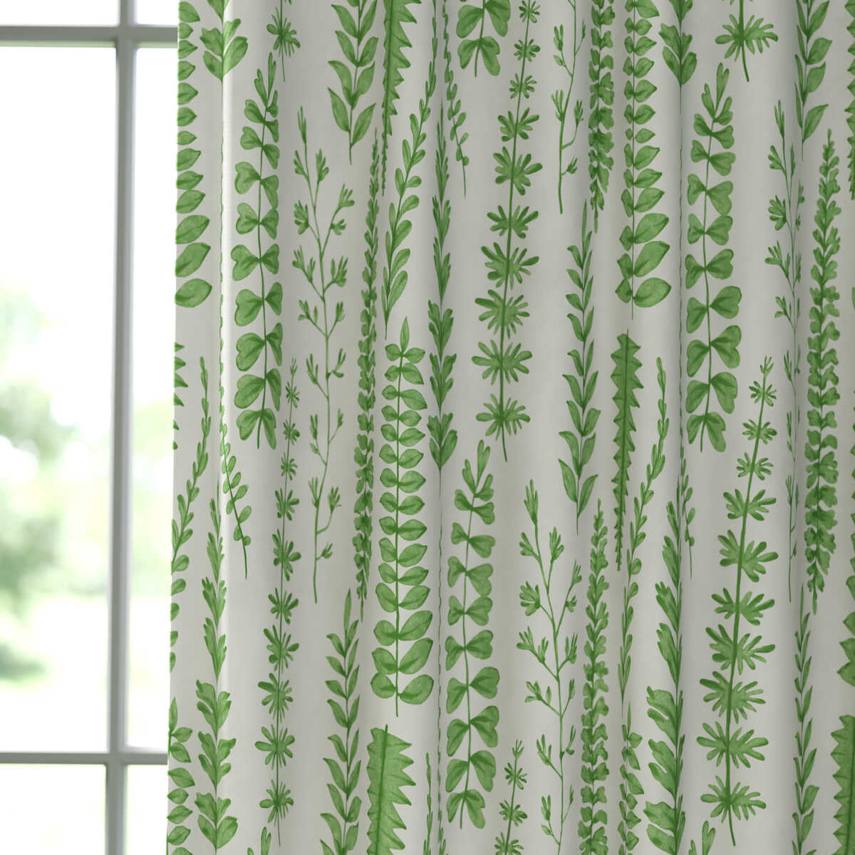 Ferns - Juniper - SCION Tela